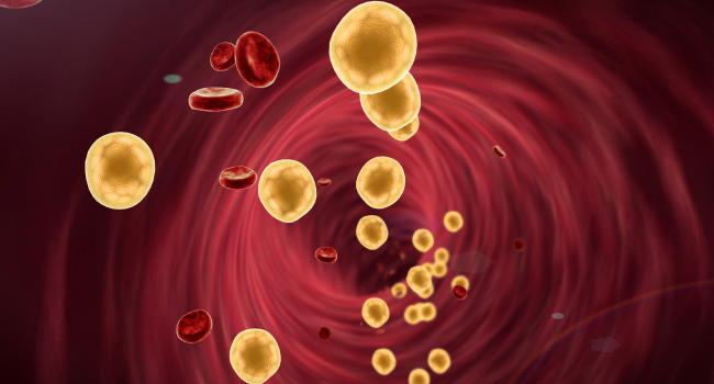 Beyond Statins: Exploring Natural Supplements for Cholesterol Management