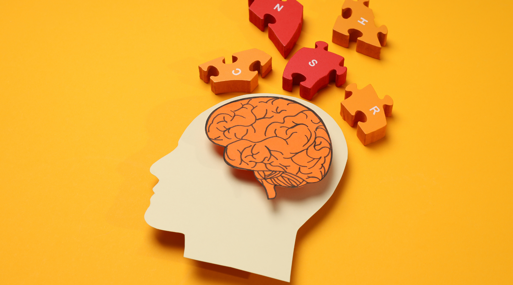 Top 3 Reasons to Take Bacopa for Memory Maintenance