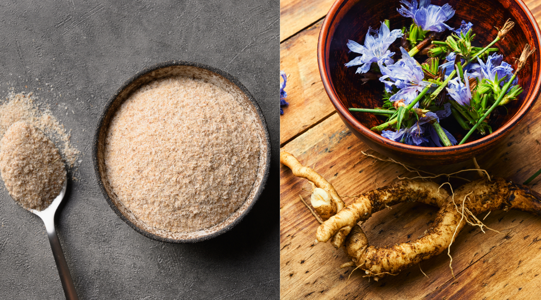 Understanding the Difference Between Psyllium and Inulin: Exploring Prebiotic Powders