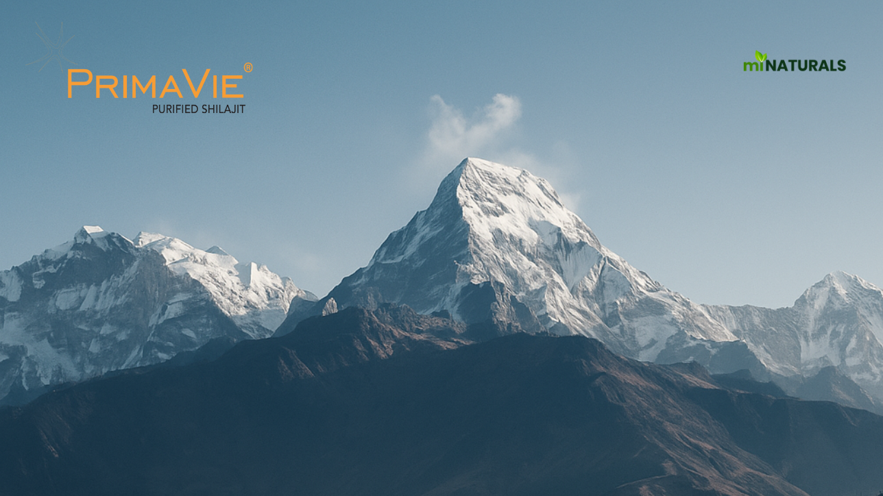 Reignite Your Energy: Why miNATURALS Ultra Premium Shilajit with PrimaVie® Might Be the Best Thing You Do for Yourself This Year
