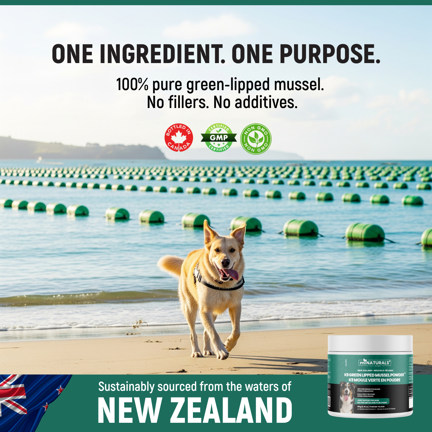 Green Lipped Mussel for Dogs – 100% Pure New Zealand Hip & Joint Supplement for Dogs