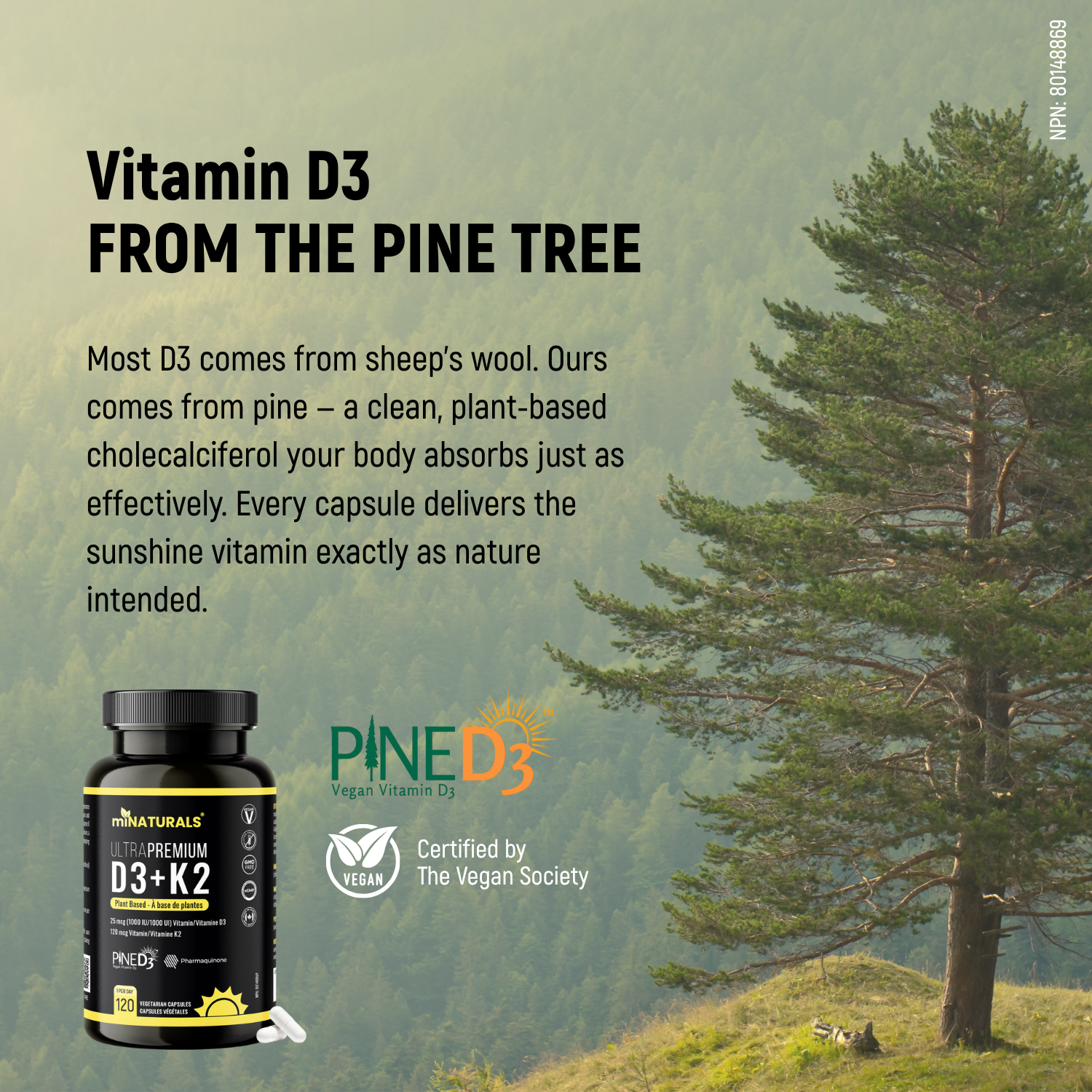 Vitamine D3 + K2 végétale Ultra Premium avec D3 de pin et K2 Pharmaquinone