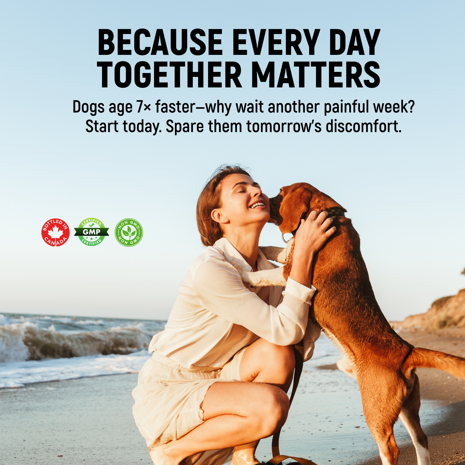 Moule à lèvres vertes pour chiens – Complément alimentaire 100 % pur de Nouvelle-Zélande pour les hanches et les articulations des chiens