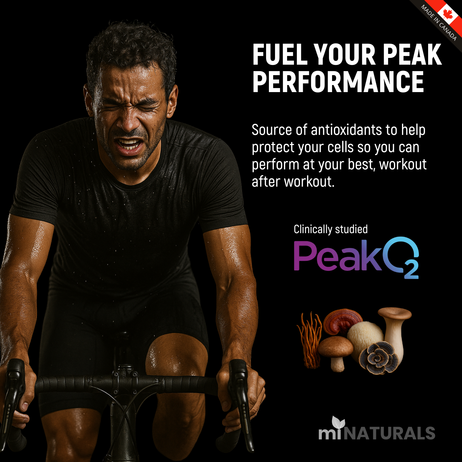 Fuel Force, Ultra Premium Peakshroom 6X Mushroom Blend