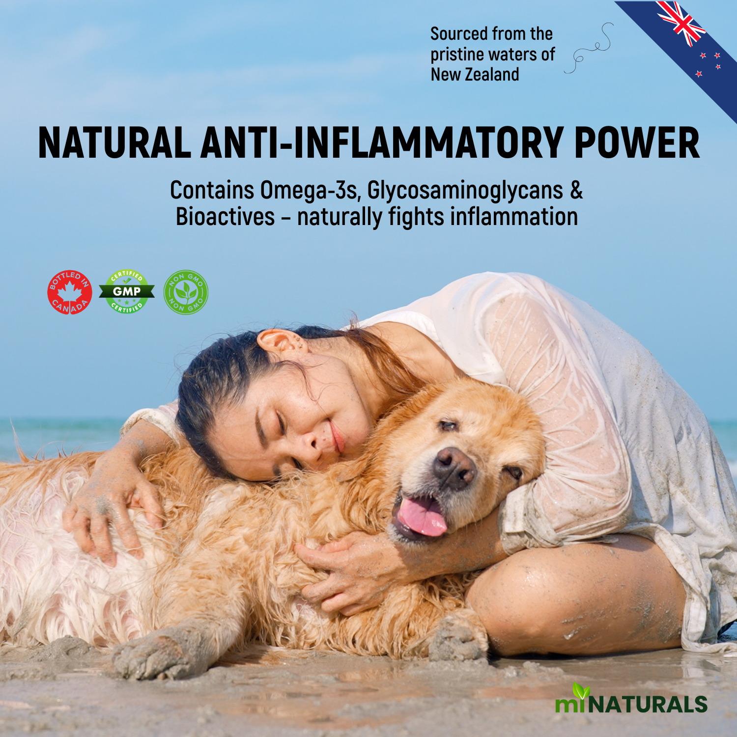 Moule à lèvres vertes pour chiens – Complément alimentaire 100 % pur de Nouvelle-Zélande pour les hanches et les articulations des chiens