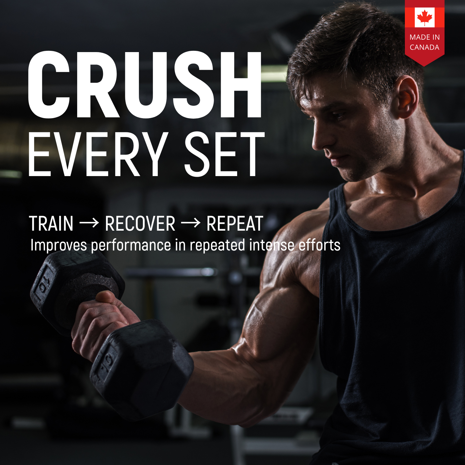 Micronized Creatine Monohydrate Capsules - 300 Capsules