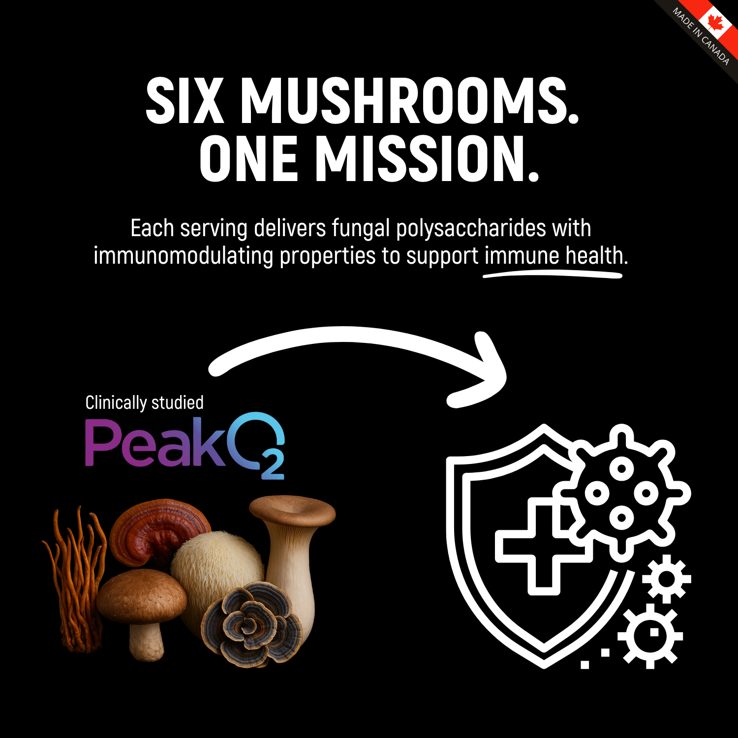 Fuel Force, Ultra Premium Peakshroom 6X Mushroom Blend