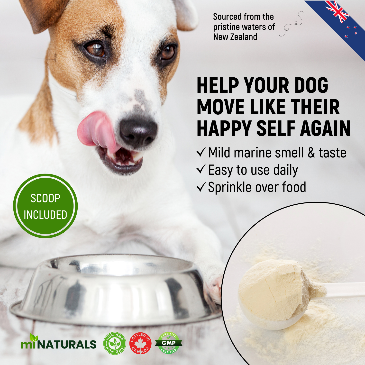 Moule à lèvres vertes pour chiens – Complément alimentaire 100 % pur de Nouvelle-Zélande pour les hanches et les articulations des chiens