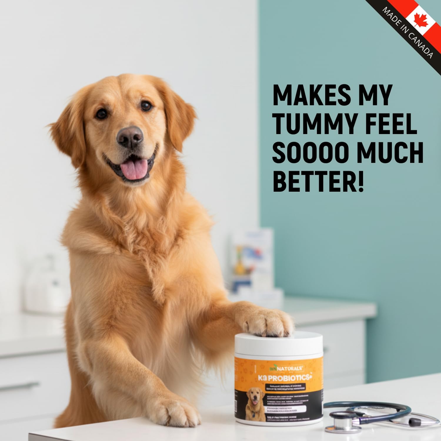 K9 Prebiotics and Probiotics