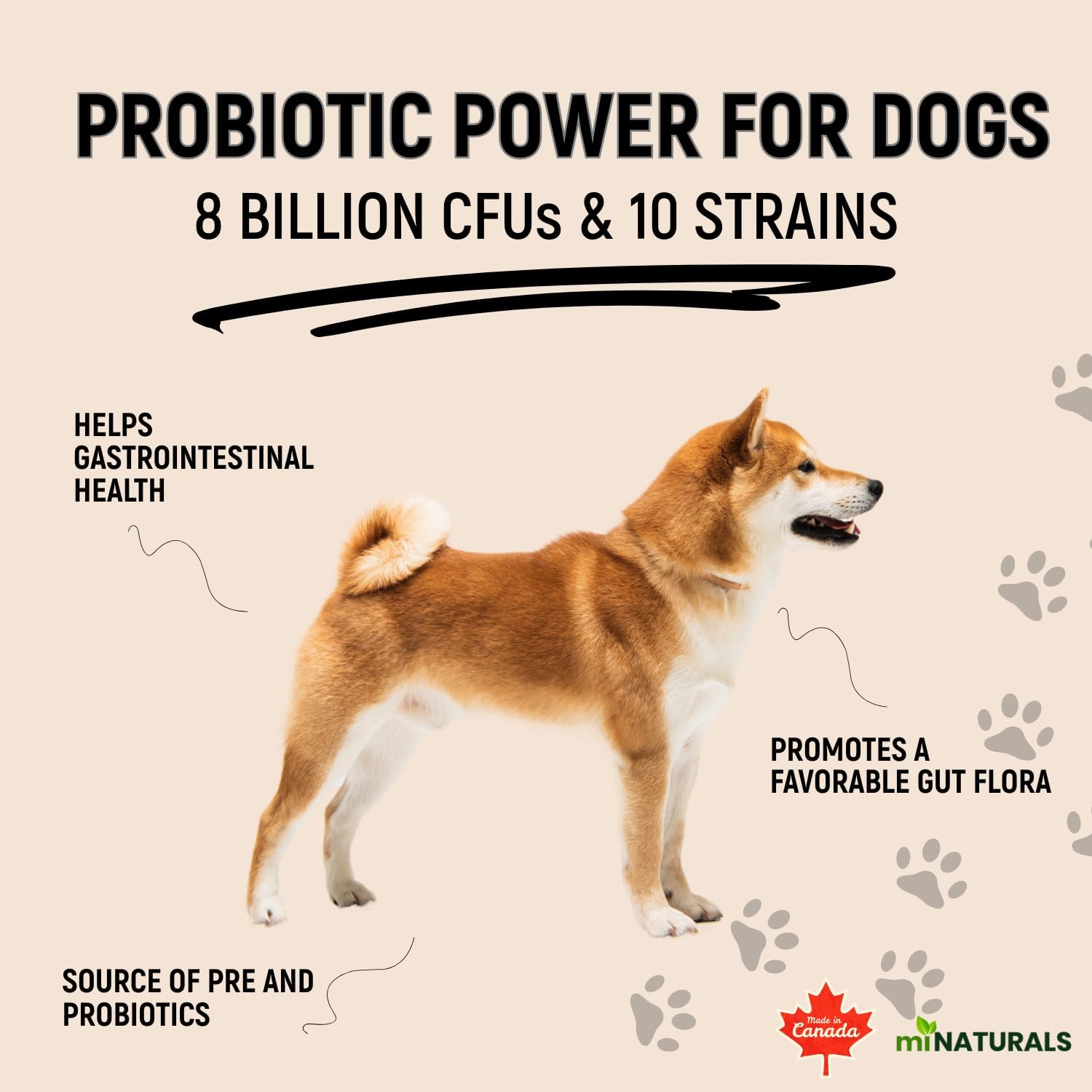 K9 Prebiotics and Probiotics