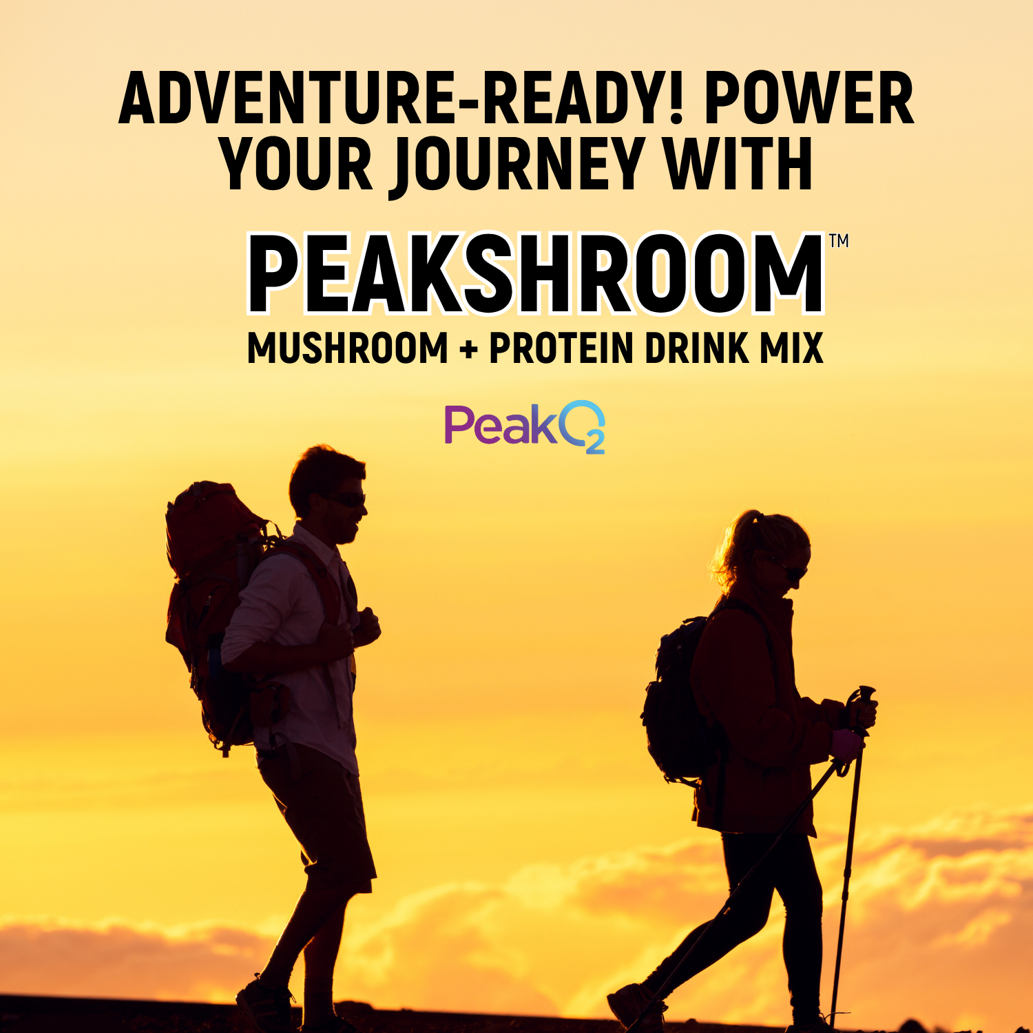 Peakshroom Mushroom, Protein, Coffee, Fibre Drink Mix