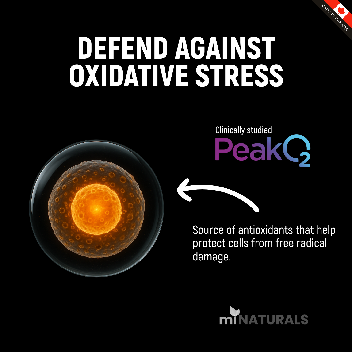 Fuel Force, Ultra Premium Peakshroom 6X Mushroom Blend