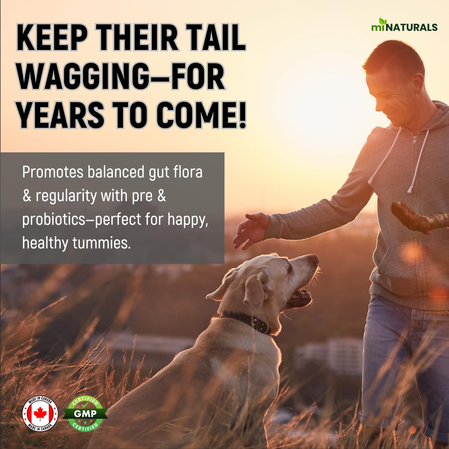 K9 Prebiotics and Probiotics