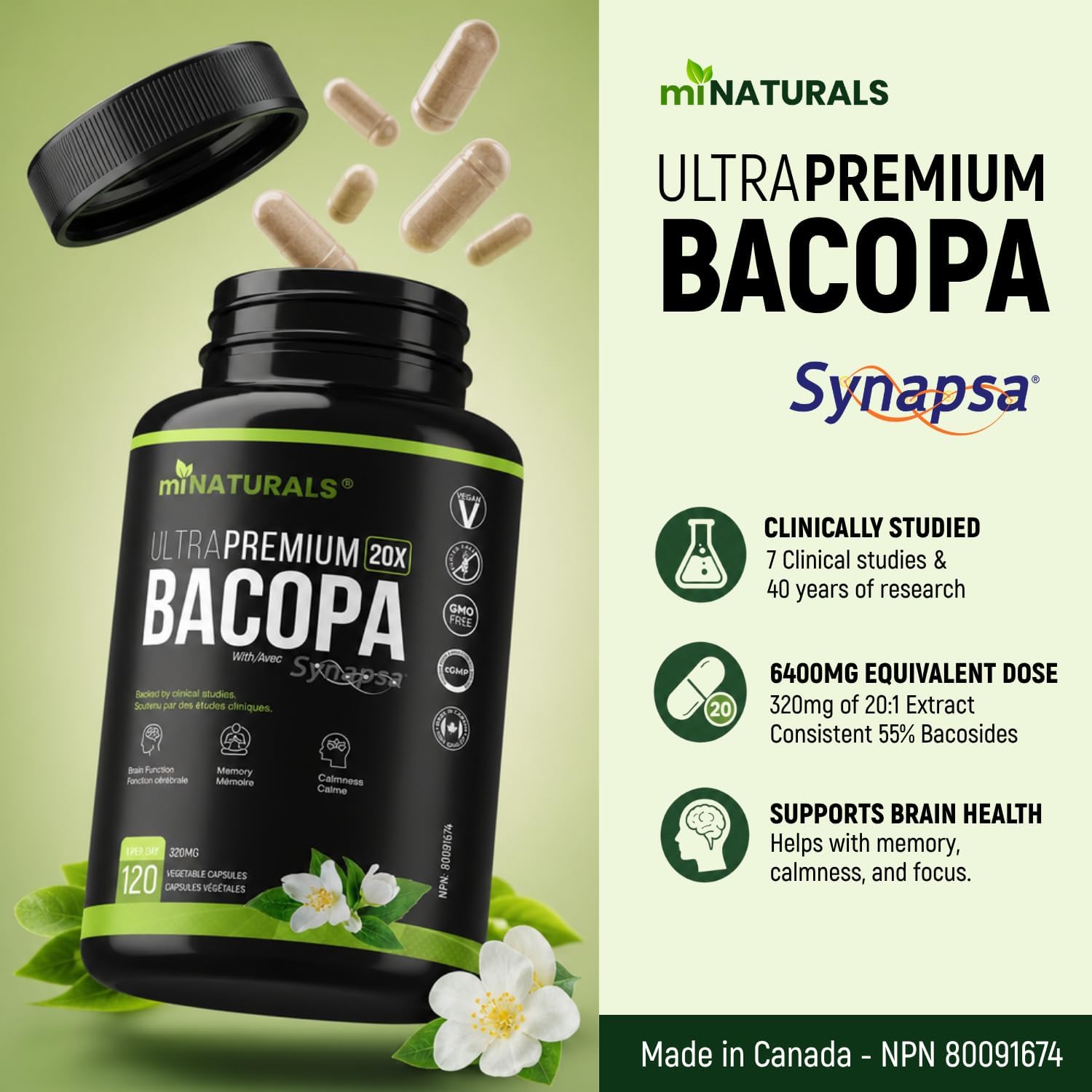 Ultra Premium Bacopa Monnieri with Synapsa