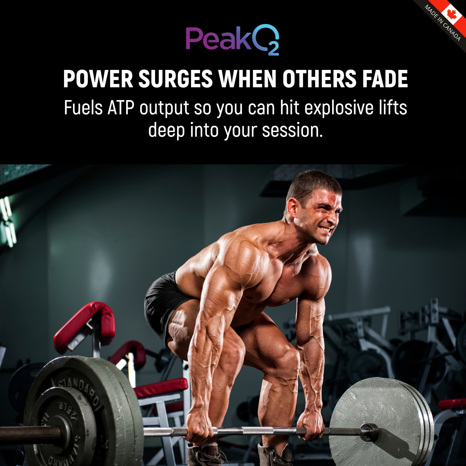 Fuel Force, Ultra Premium Peakshroom 6X Mushroom Blend