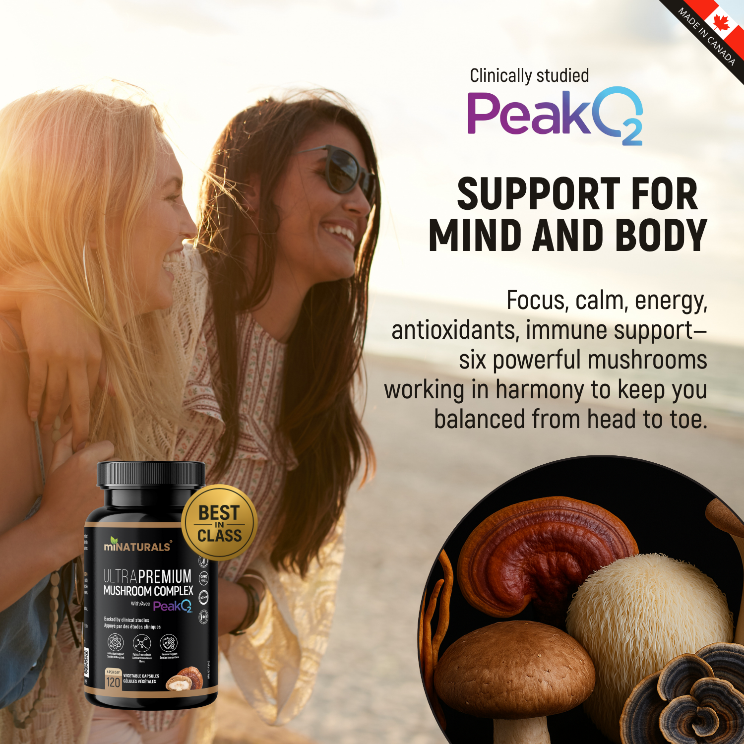 Complexe de champignons ultra premium avec Peak02