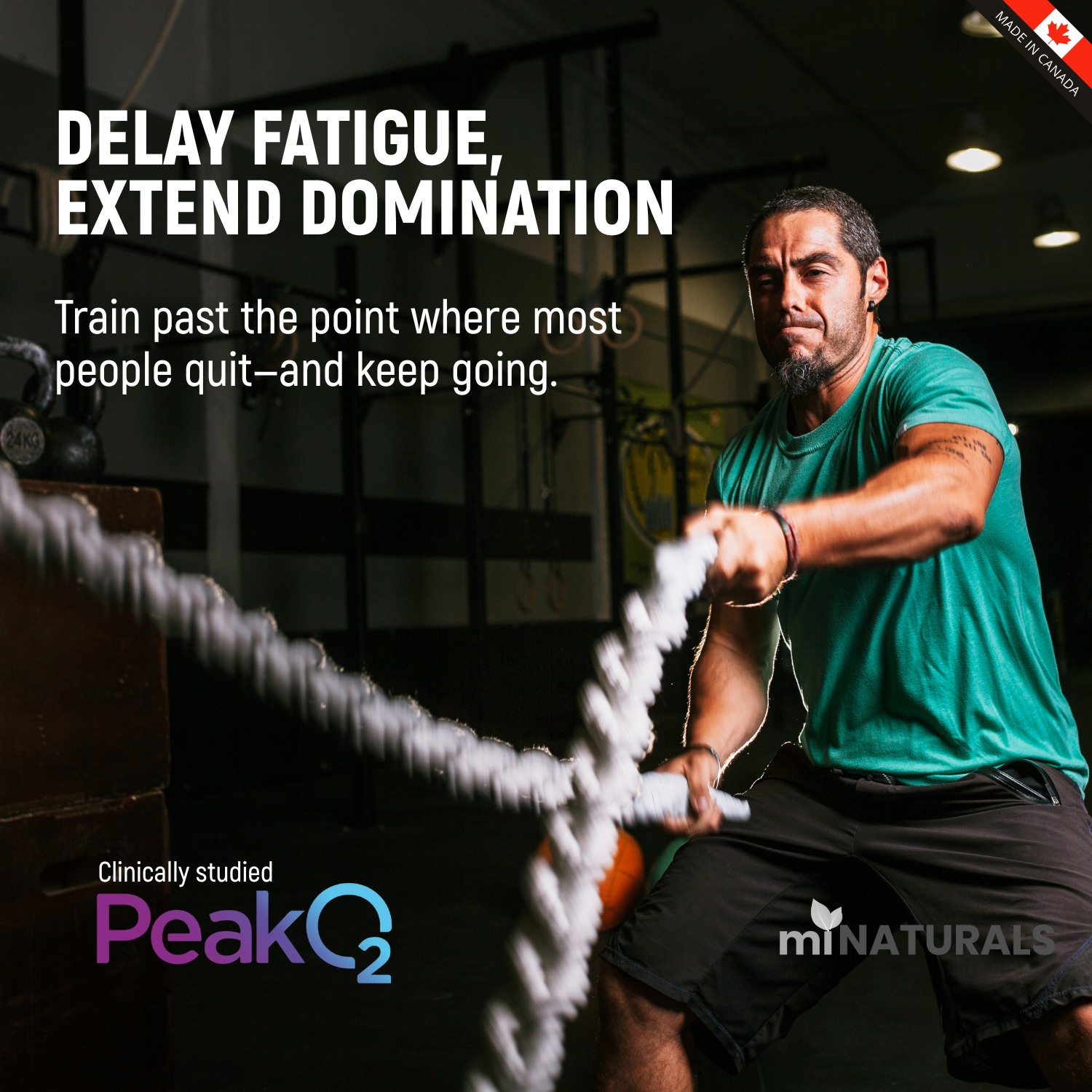 Fuel Force, Ultra Premium Peakshroom 6X Mushroom Blend