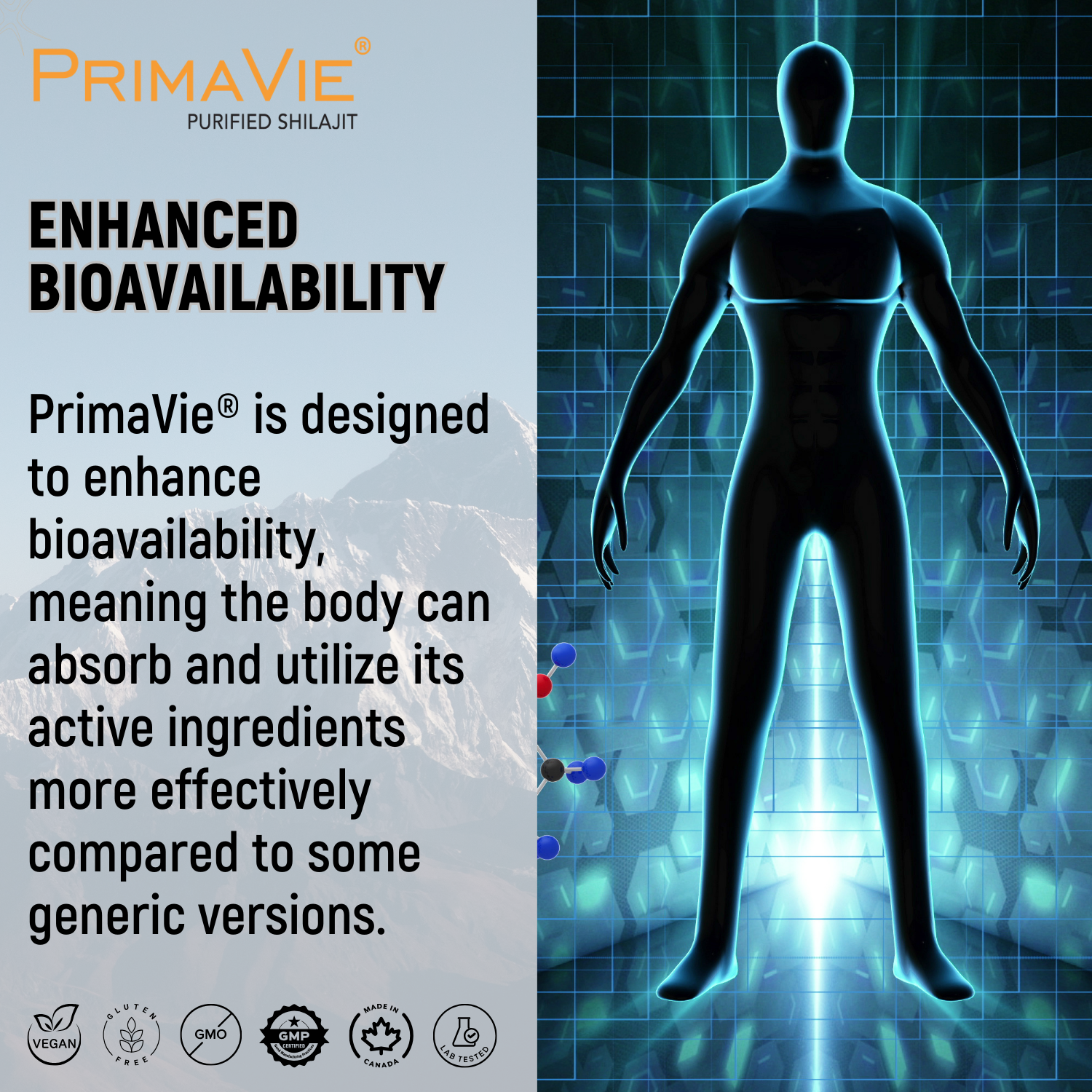 Ultra Premium Shilajit with Primavie