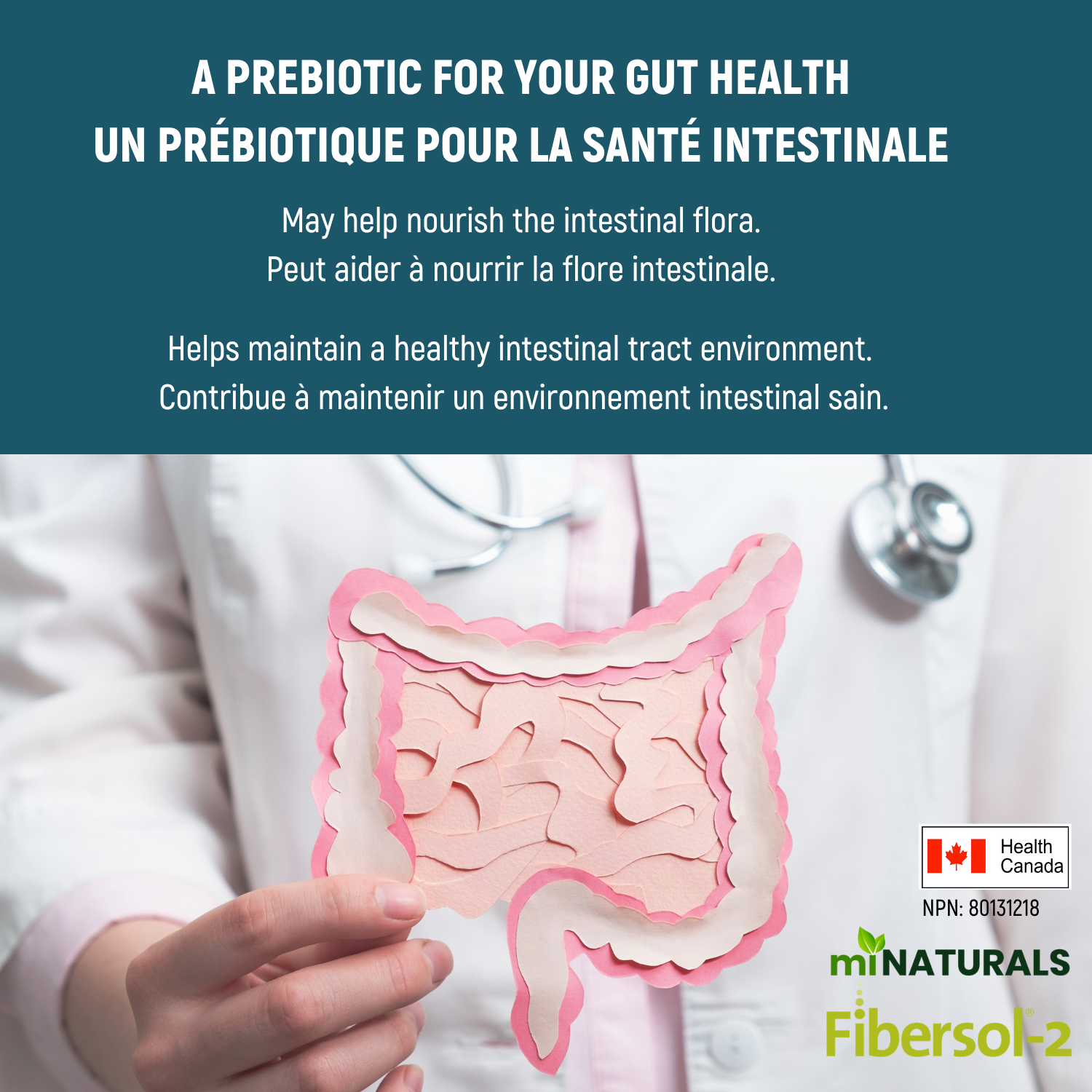 Poudre de fibres Solufiber avec Fibersol-2