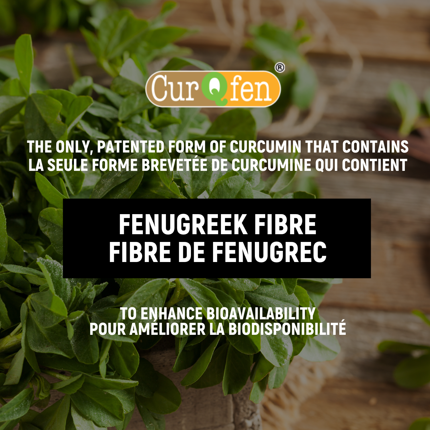 curcumin fenugreek supplement