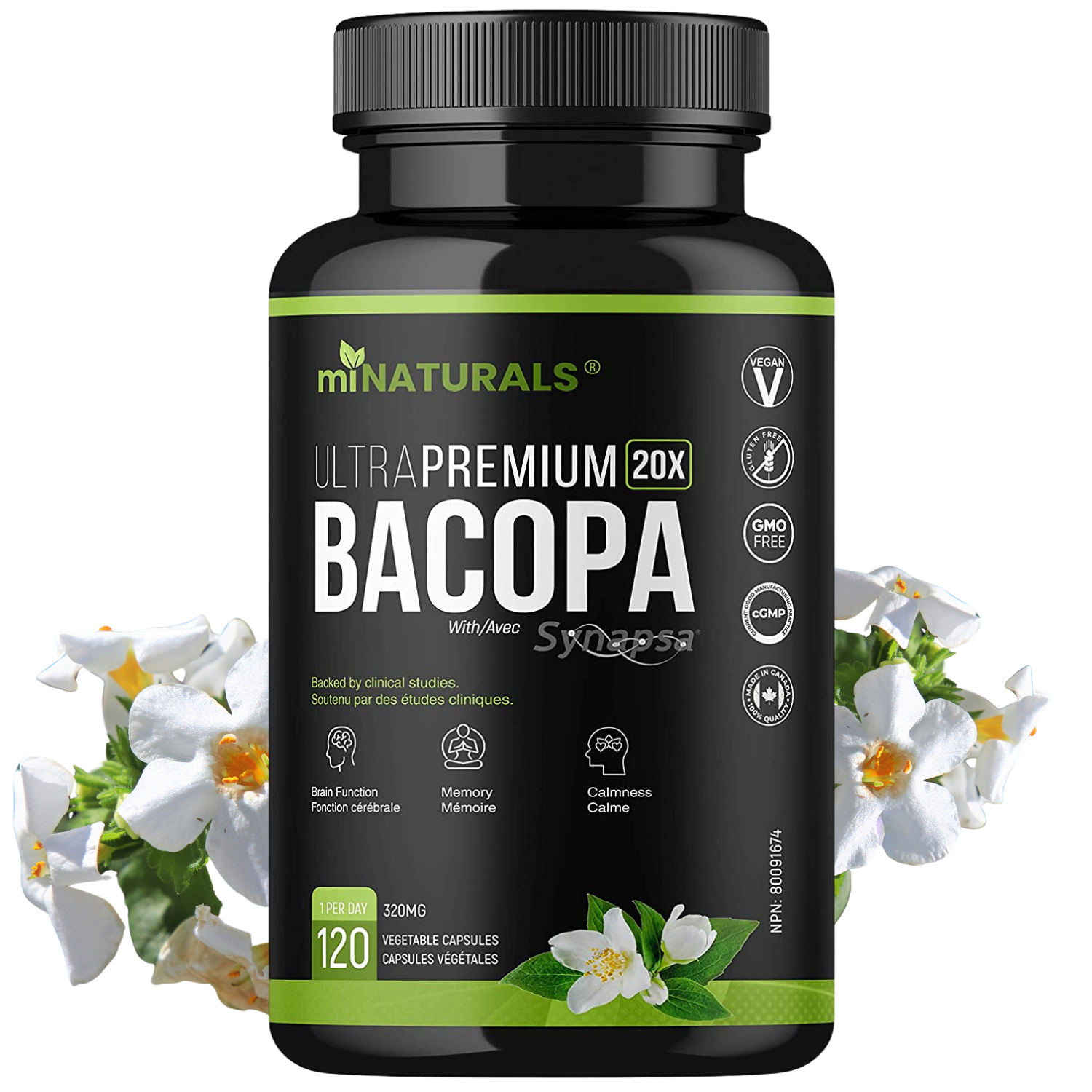 Ultra Premium Bacopa Monnieri with Synapsa