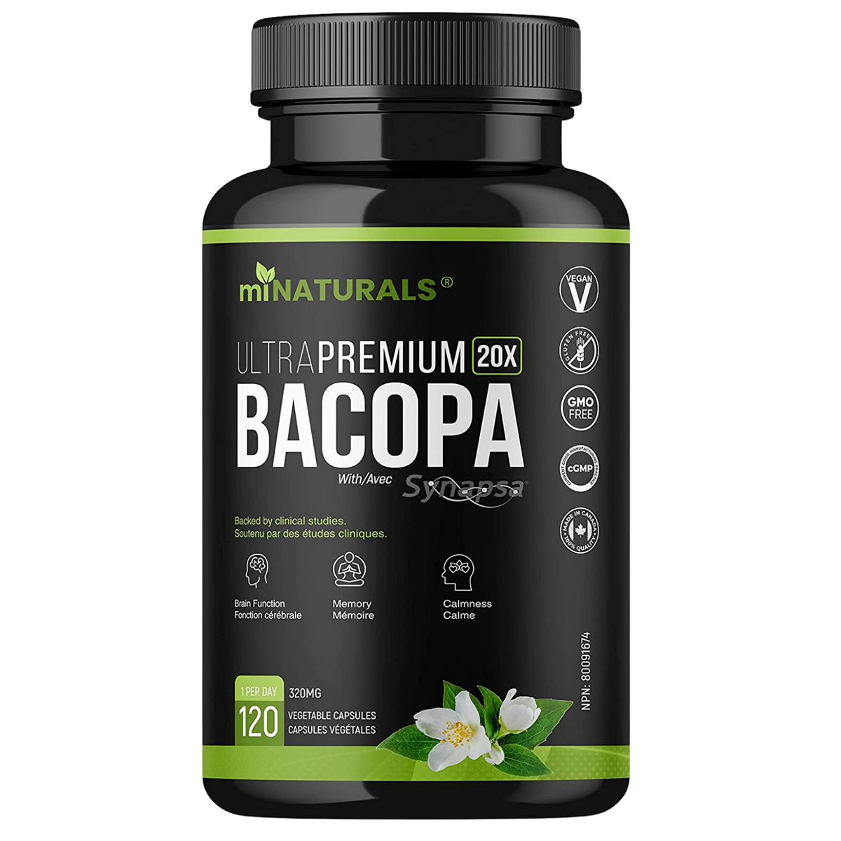 Ultra Premium Bacopa Monnieri with Synapsa