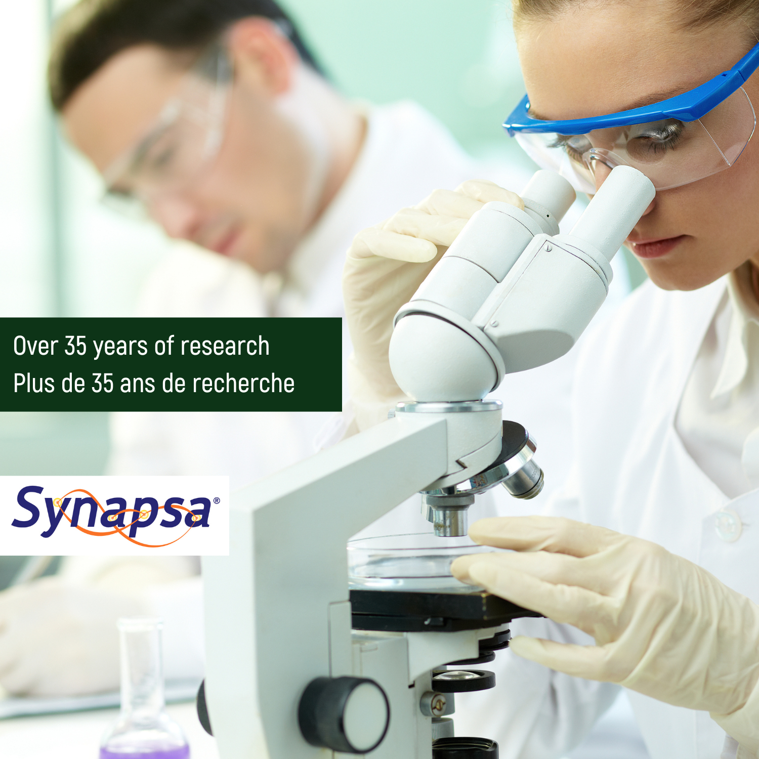 Ultra Premium Bacopa Monnieri with Synapsa