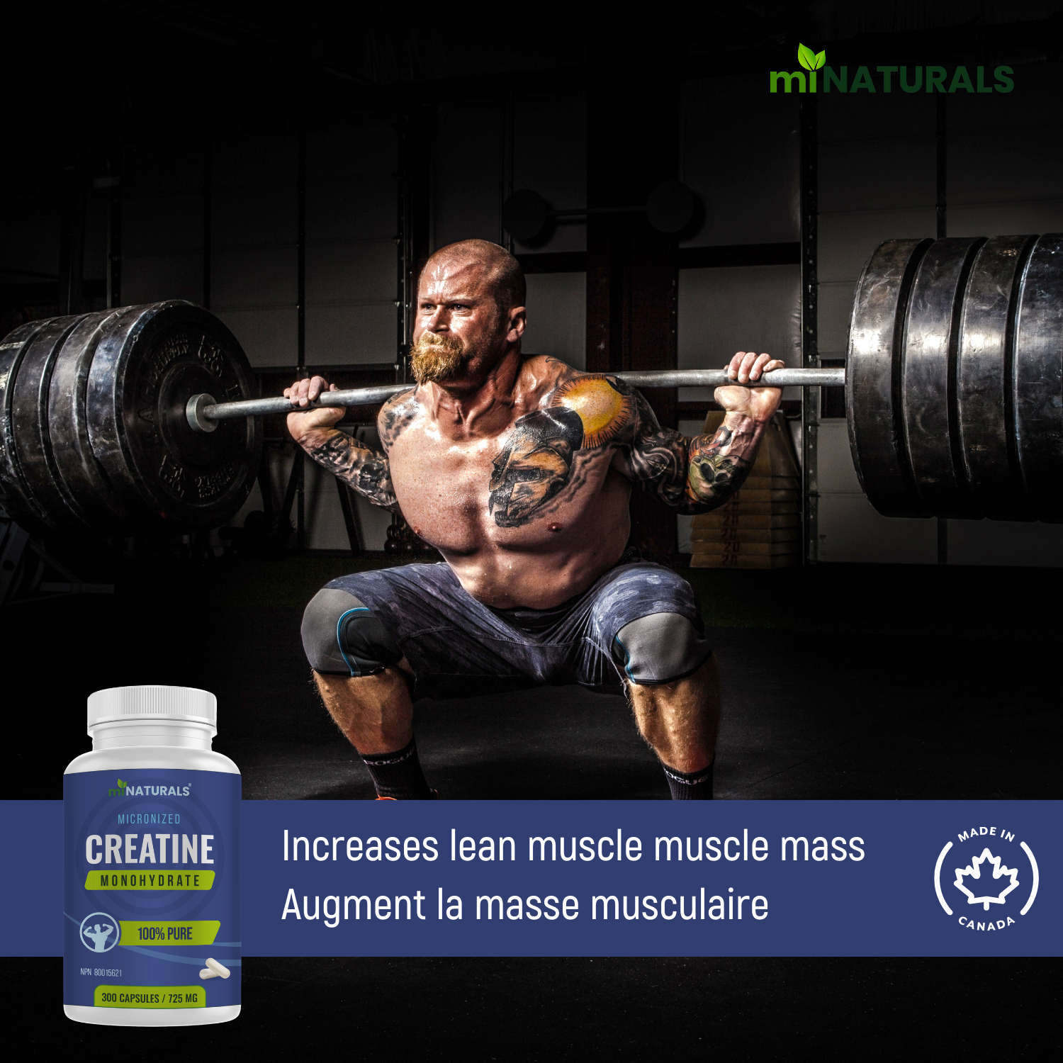 Micronized Creatine Monohydrate Capsules - 300 Capsules