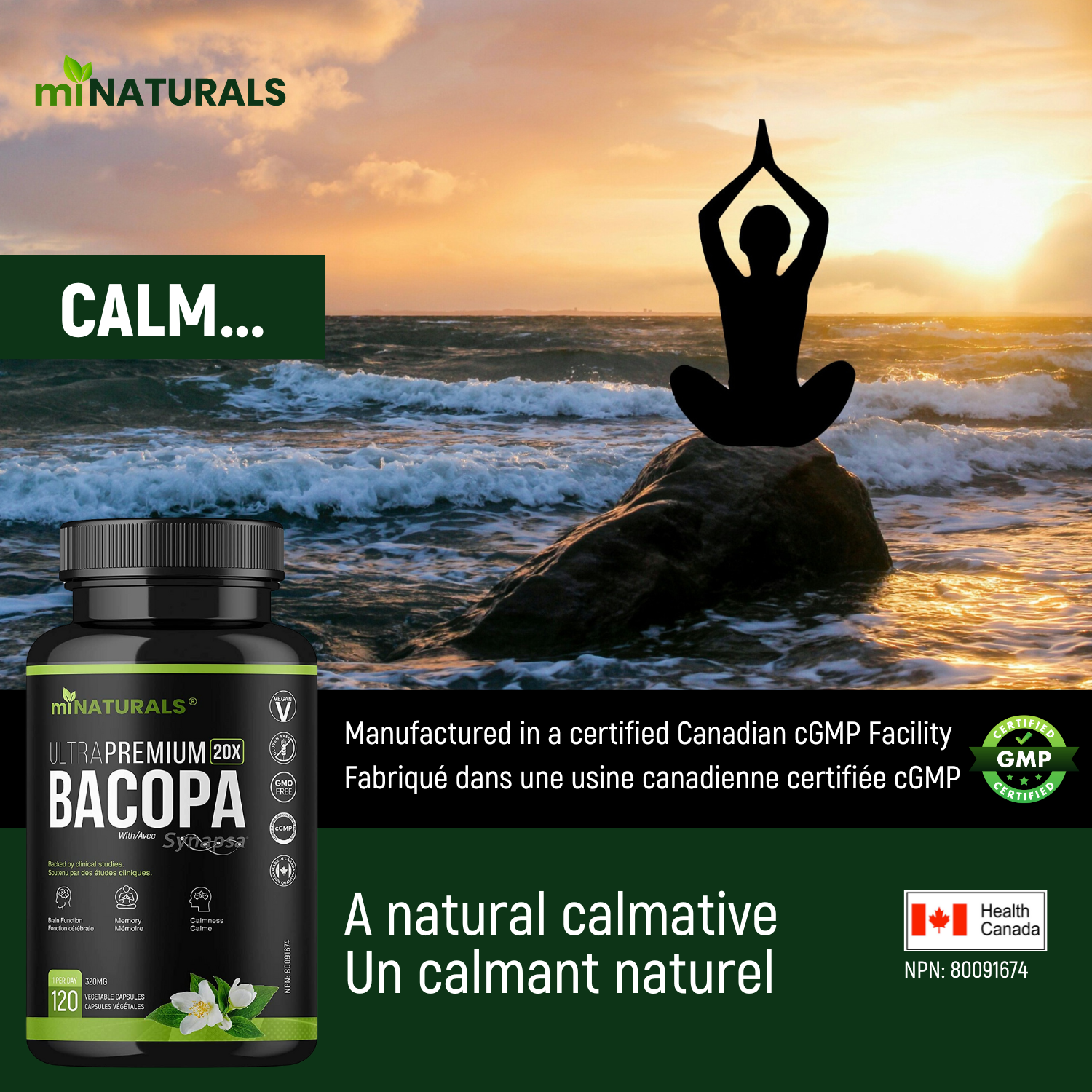 Ultra Premium Bacopa Monnieri with Synapsa