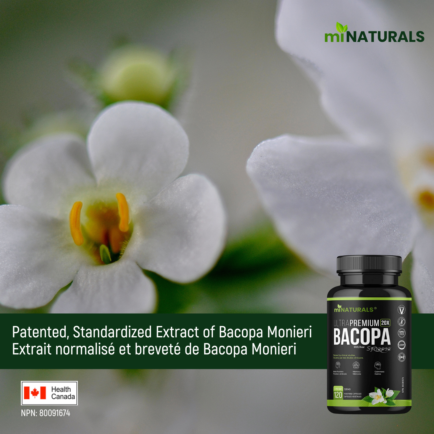 Ultra Premium Bacopa Monnieri with Synapsa
