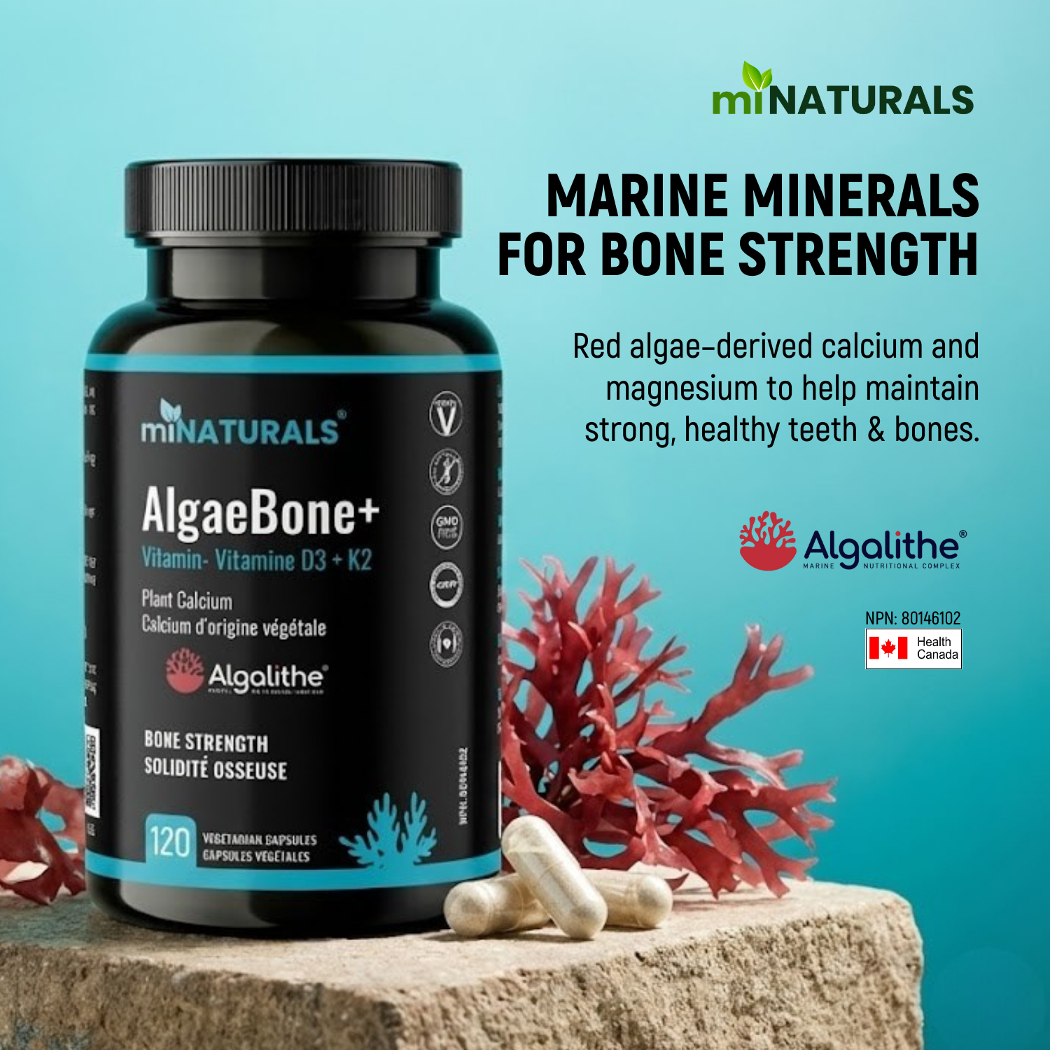 Ultra Premium AlgaeBone+ with Vitamin D3 + K2