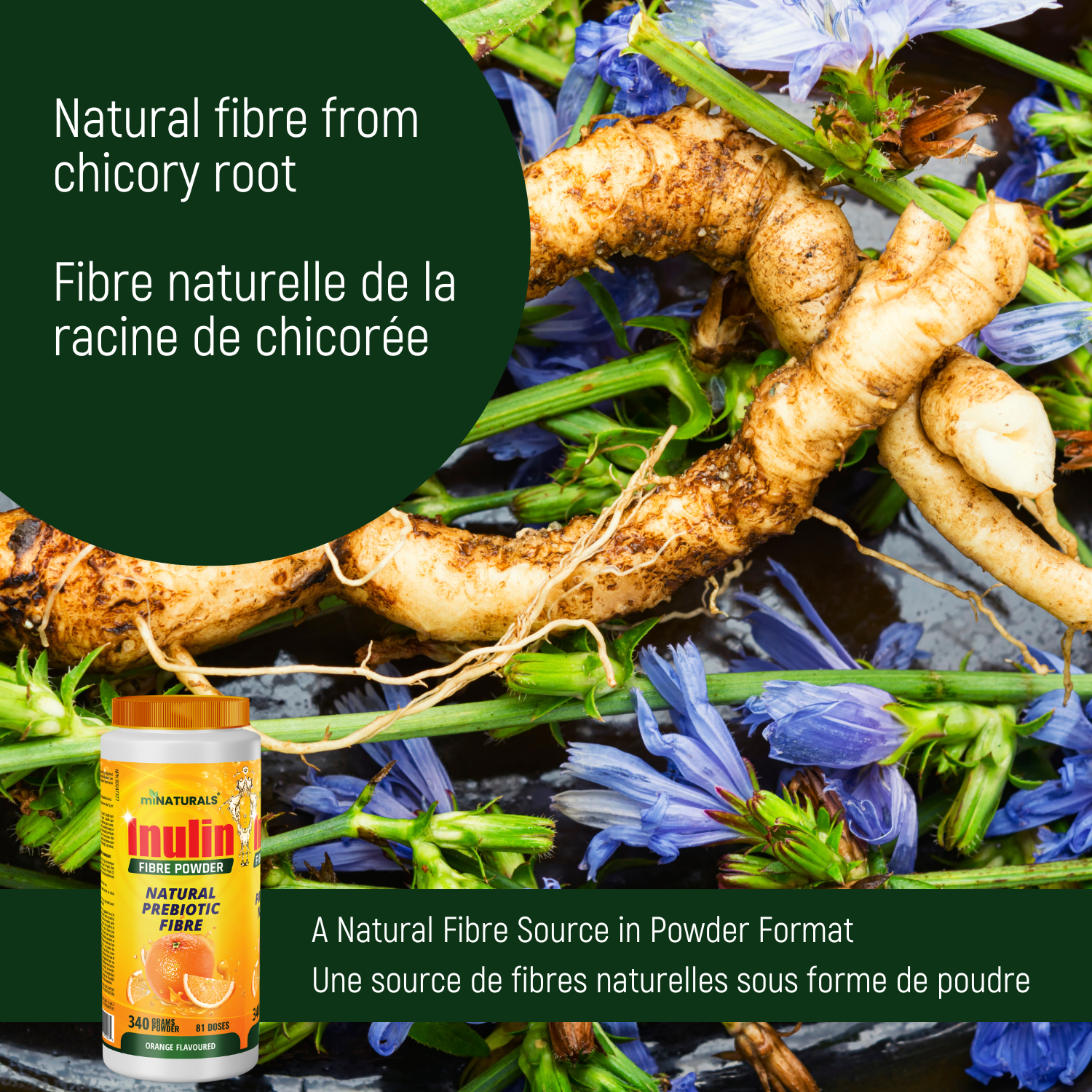 Pure Inulin Fiber Powder - Natural Prebiotic Fibre Supplement (340g - 81 Doses) - Orange Flavoured