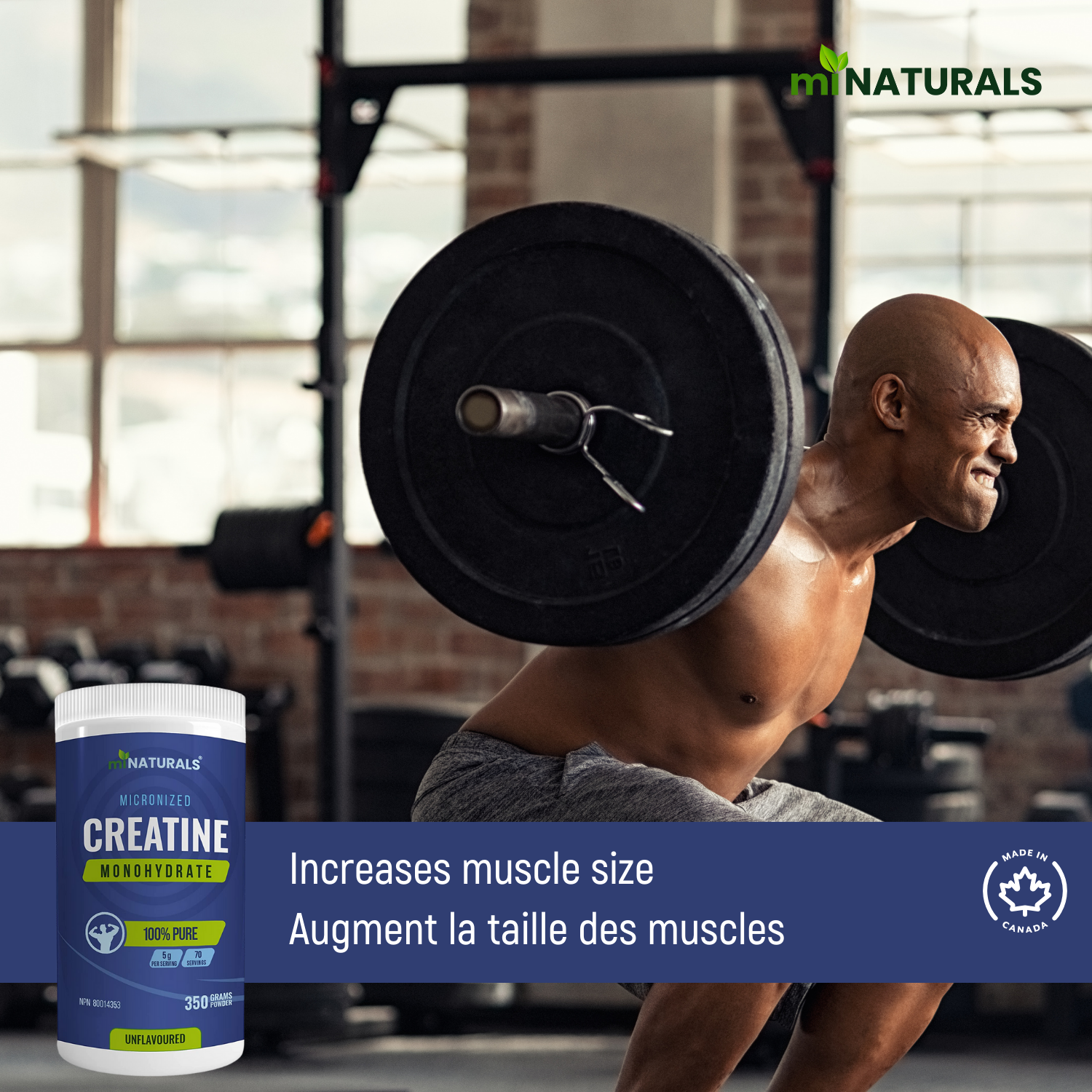 Micronized Creatine Monohydrate Powder - 350 Grams