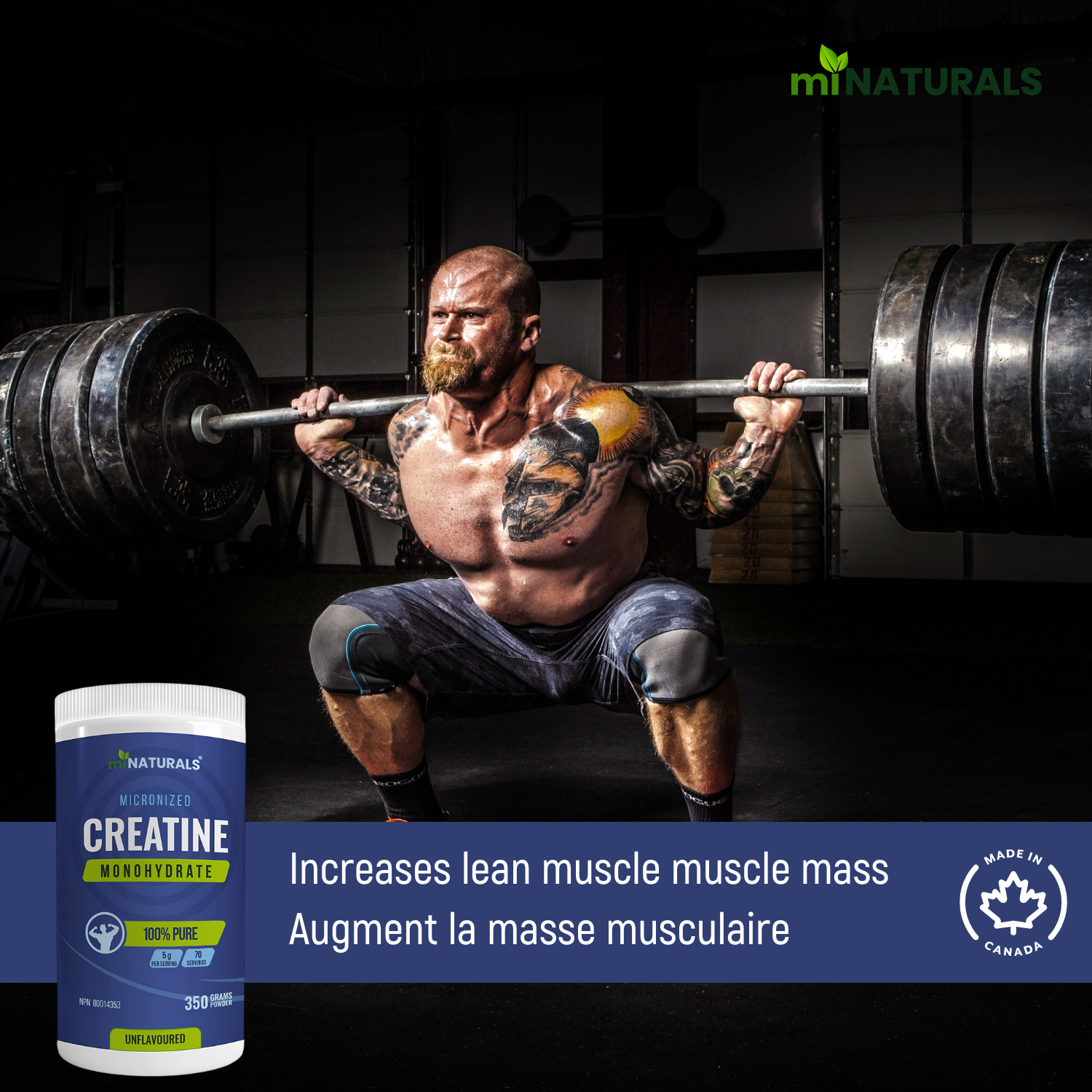 Micronized Creatine Monohydrate Powder - 350 Grams