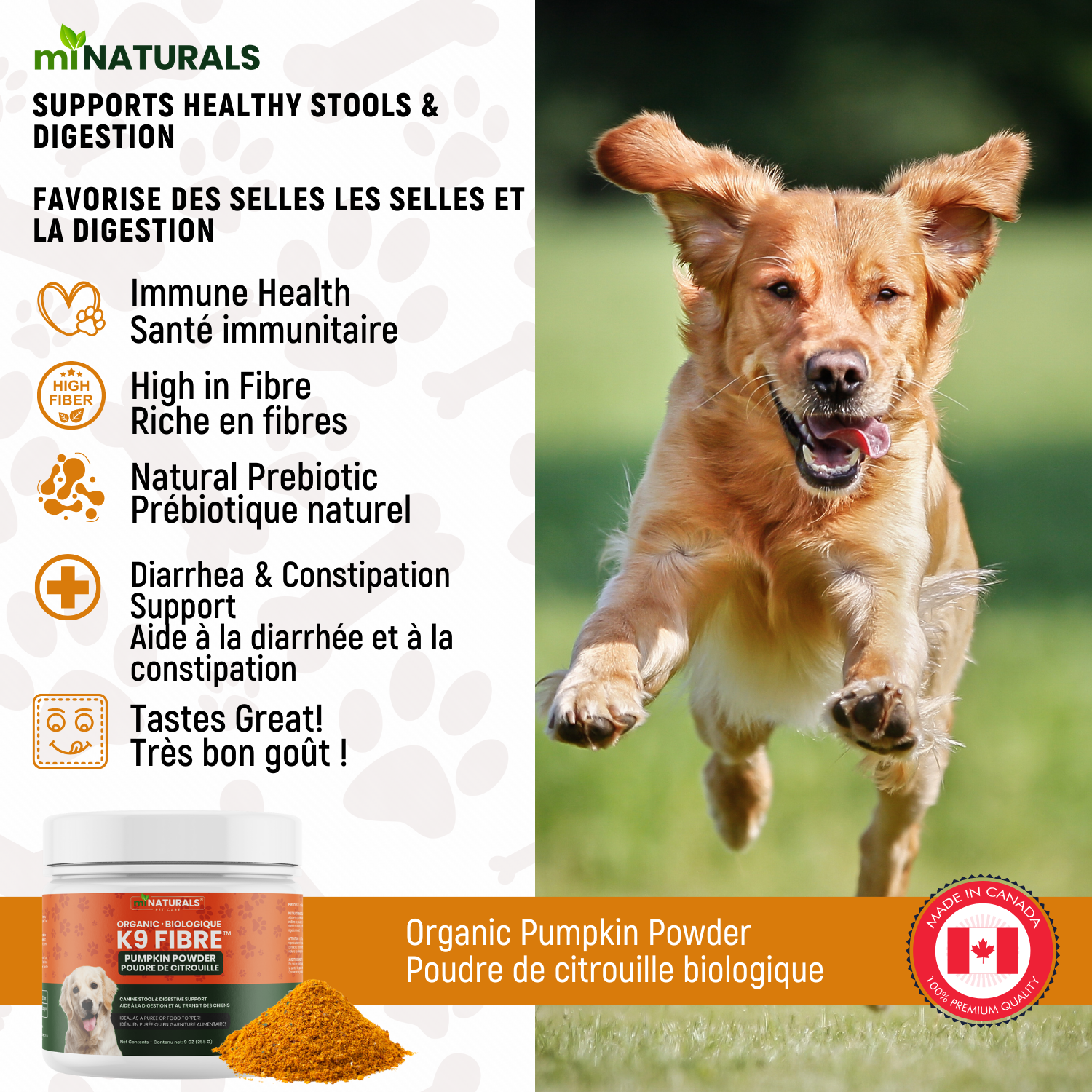pumpkin benefits for dogs