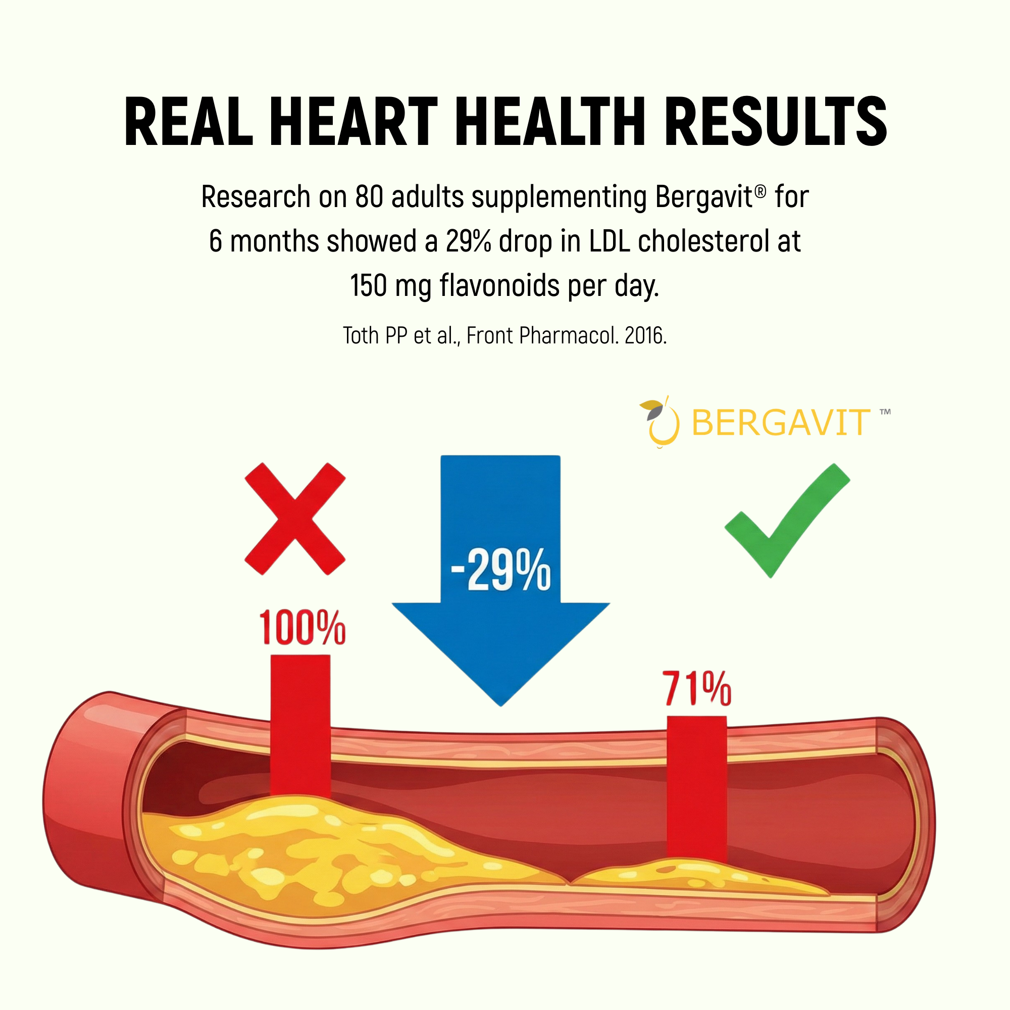 Ultra Premium Bergamot with Bergavit
