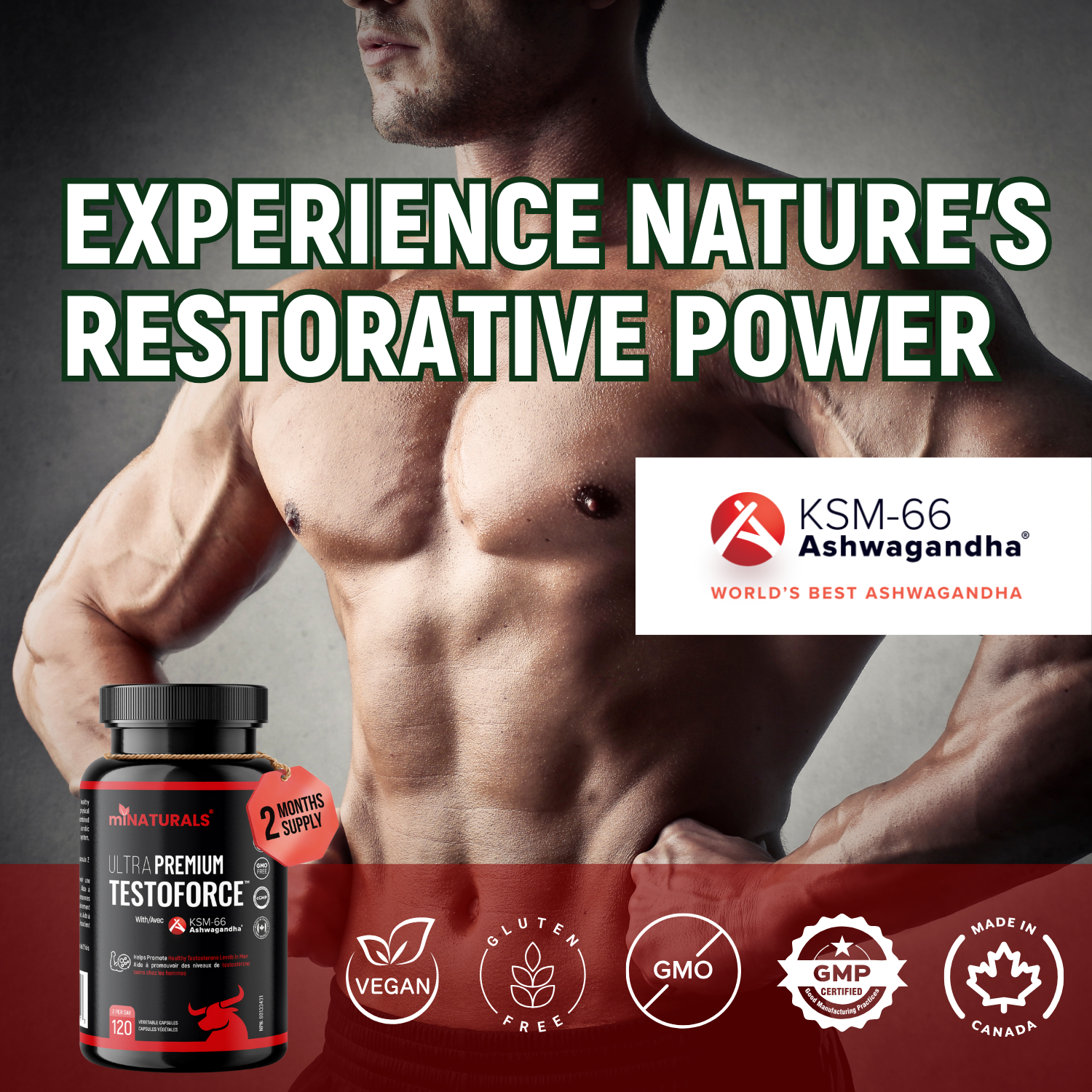 Ultra Premium Testoforce with Ashwagandha KSM-66