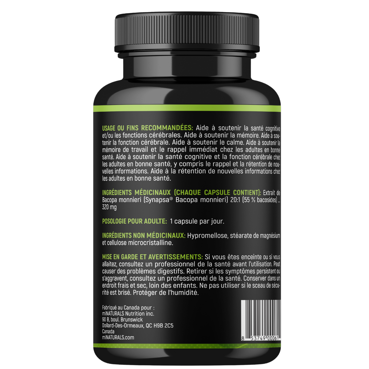 Ultra Premium Bacopa Monnieri with Synapsa