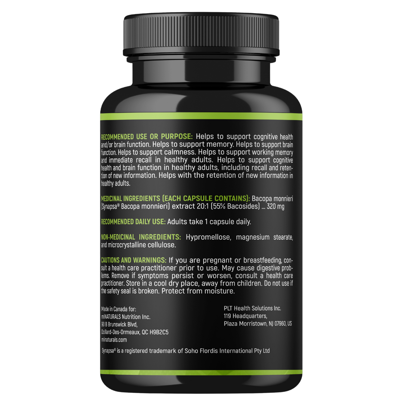 Ultra Premium Bacopa Monnieri with Synapsa