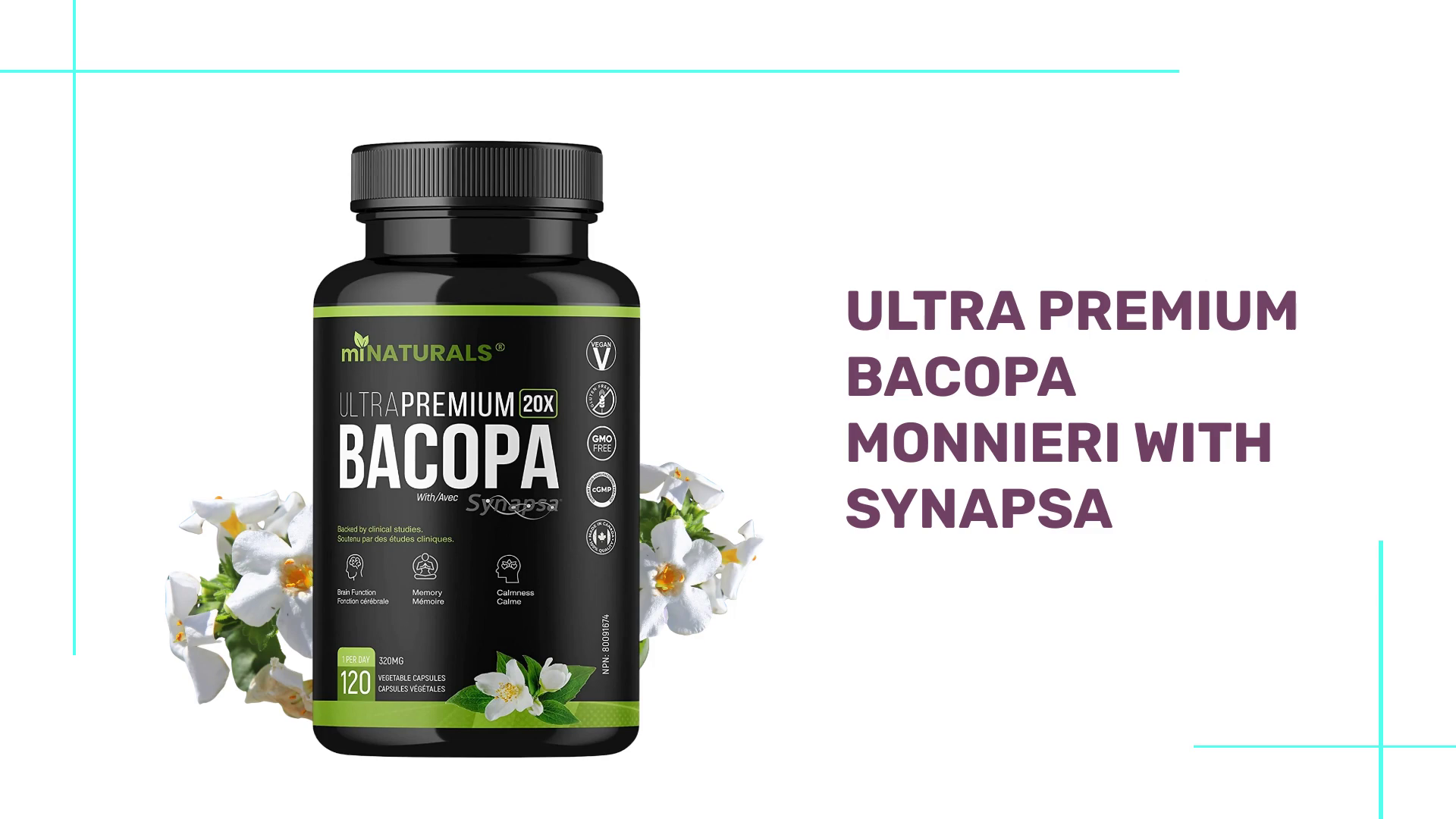 Ultra Premium Bacopa Monnieri with Synapsa by@Outfy