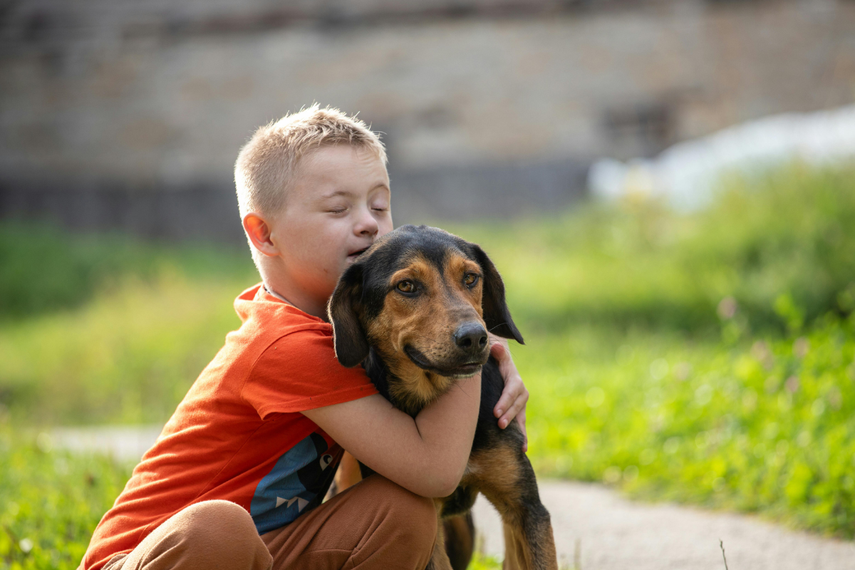 Probiotics for Dogs: What They Are, Why They Matter, and How to Choose One