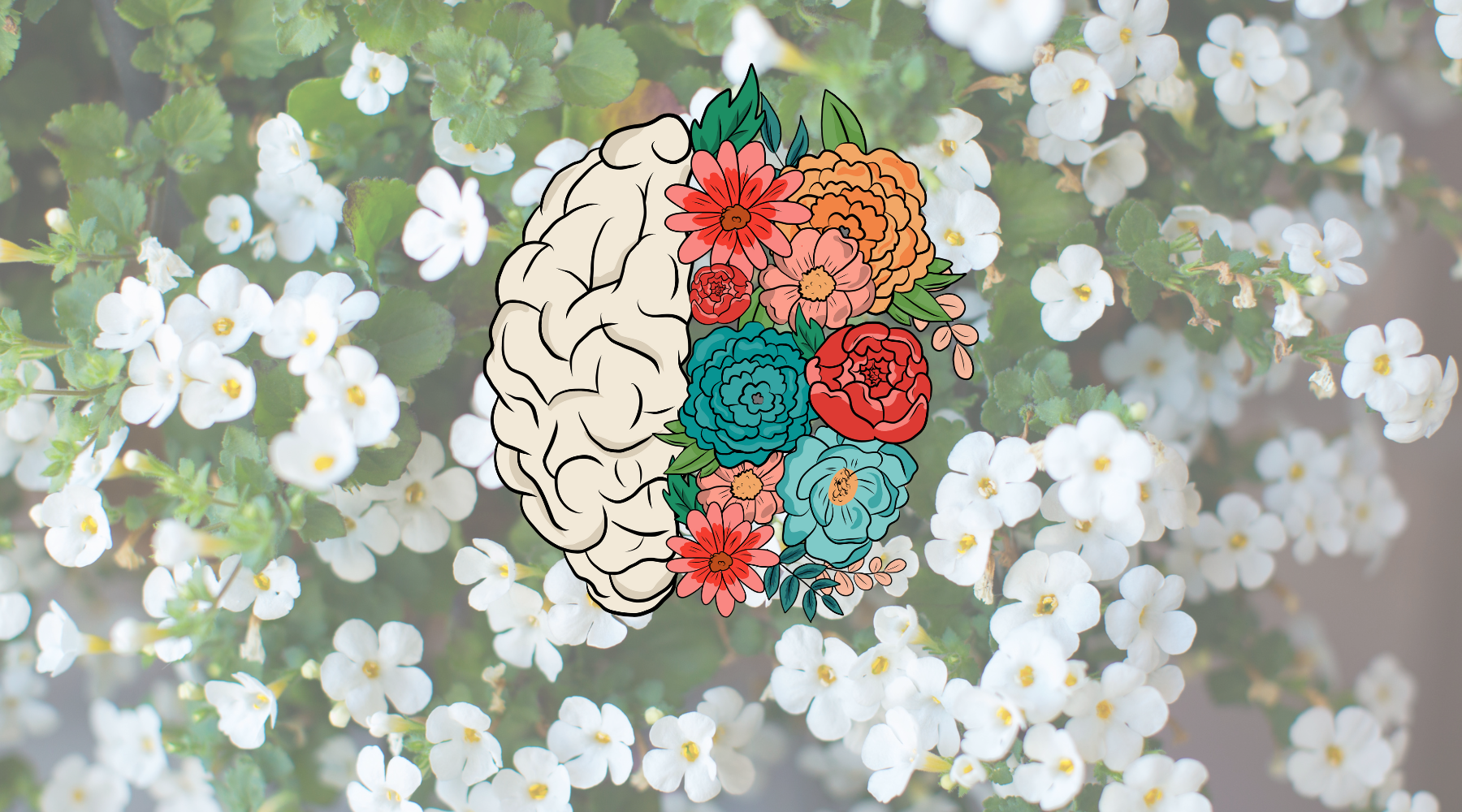 Bacopa Supplements: Boosting Brain Power Naturally