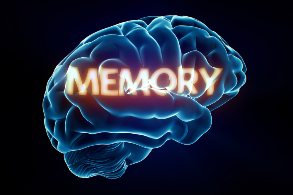 Bacopa Monnieri Supplement: Why Synapsa® Matters | miNATURALS