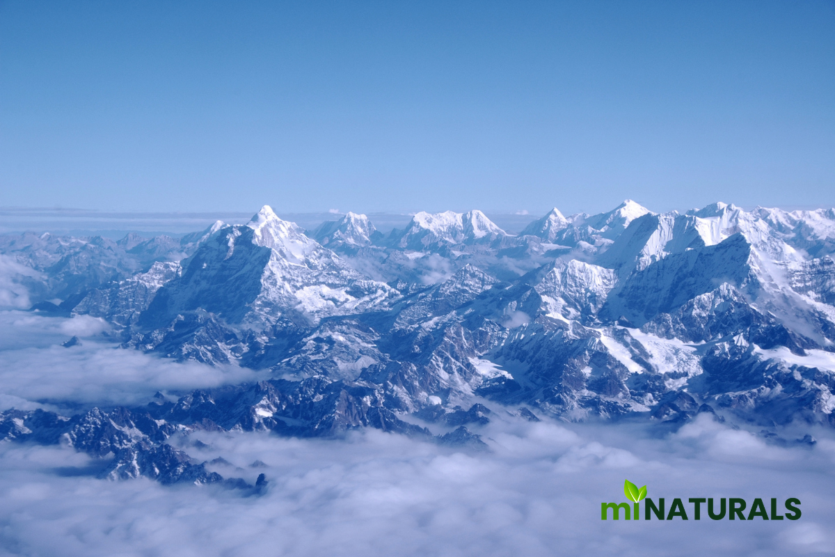 The Best Shilajit Supplement in Canada: What to Look For and Why It Matters