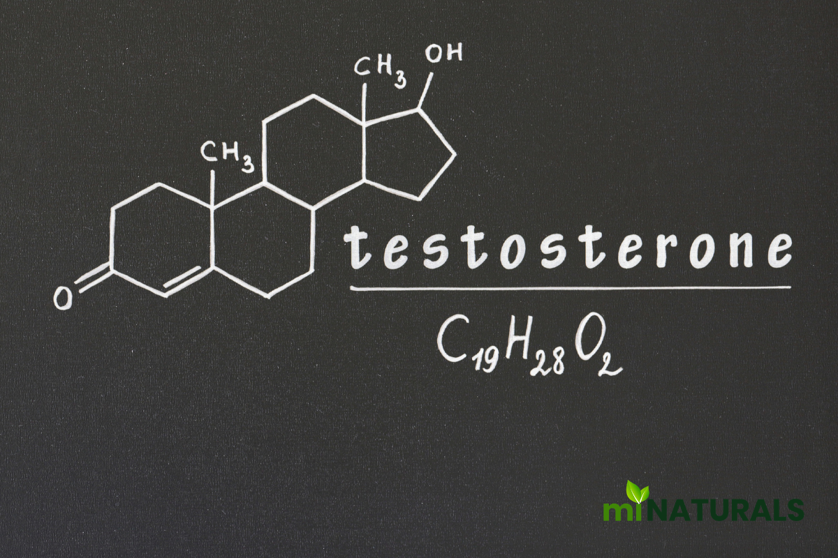 Best Natural Testosterone Supplement in Canada: A Complete Evidence-Based Guide