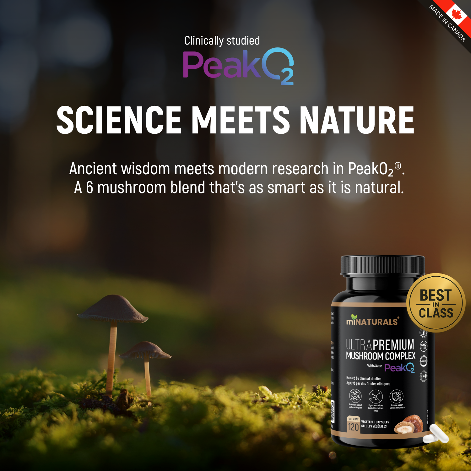 Complexe de champignons ultra premium avec Peak02