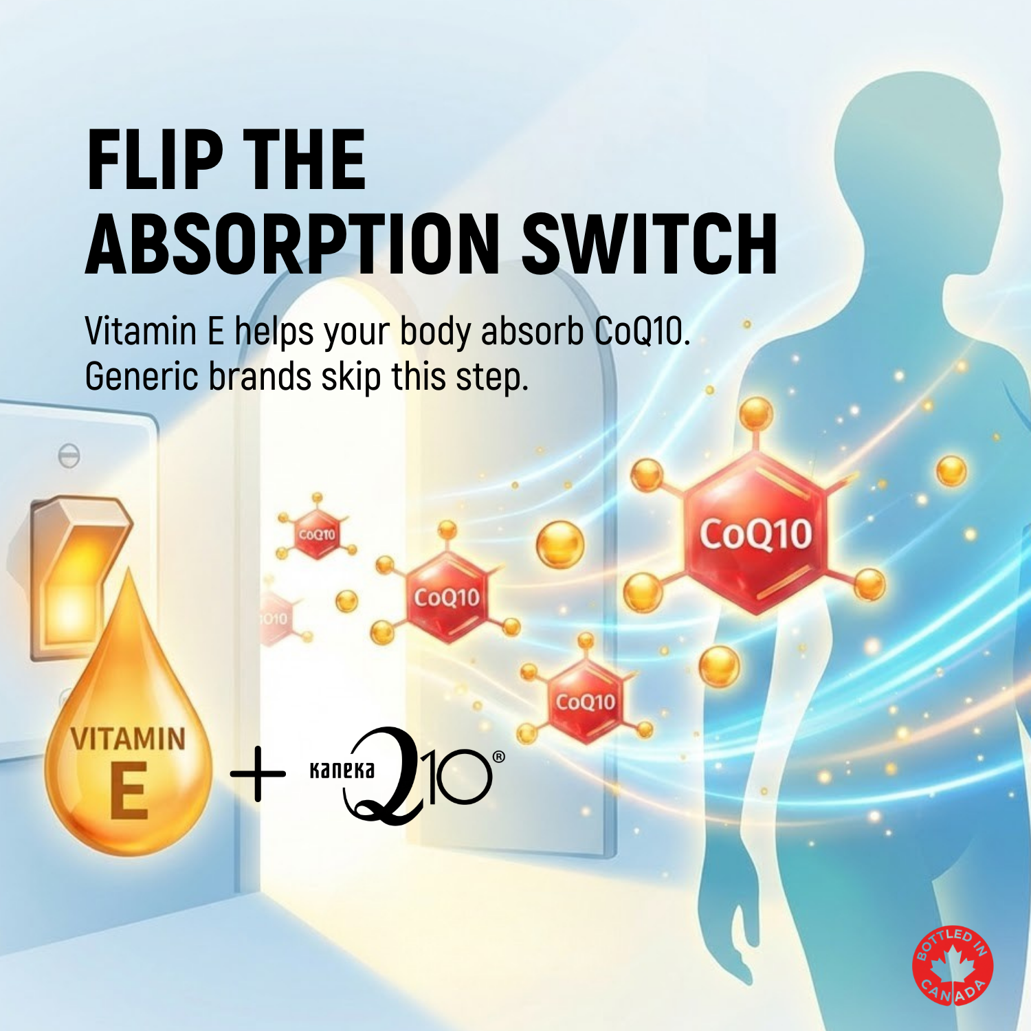 Ultra Premium CoQ10 with Q10 and Vitamin E