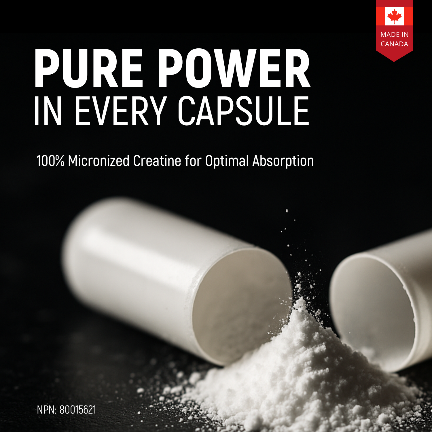 miNATURALS Capsules de monohydrate de créatine micronisée (300 capsules)