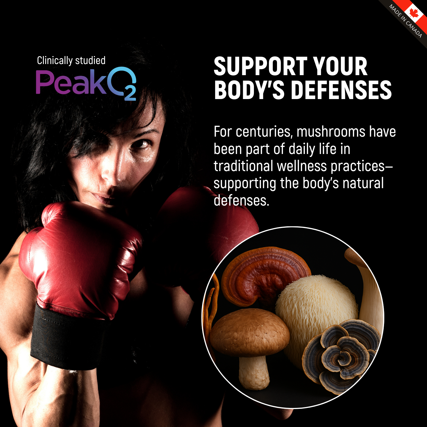 Complexe de champignons ultra premium avec Peak02