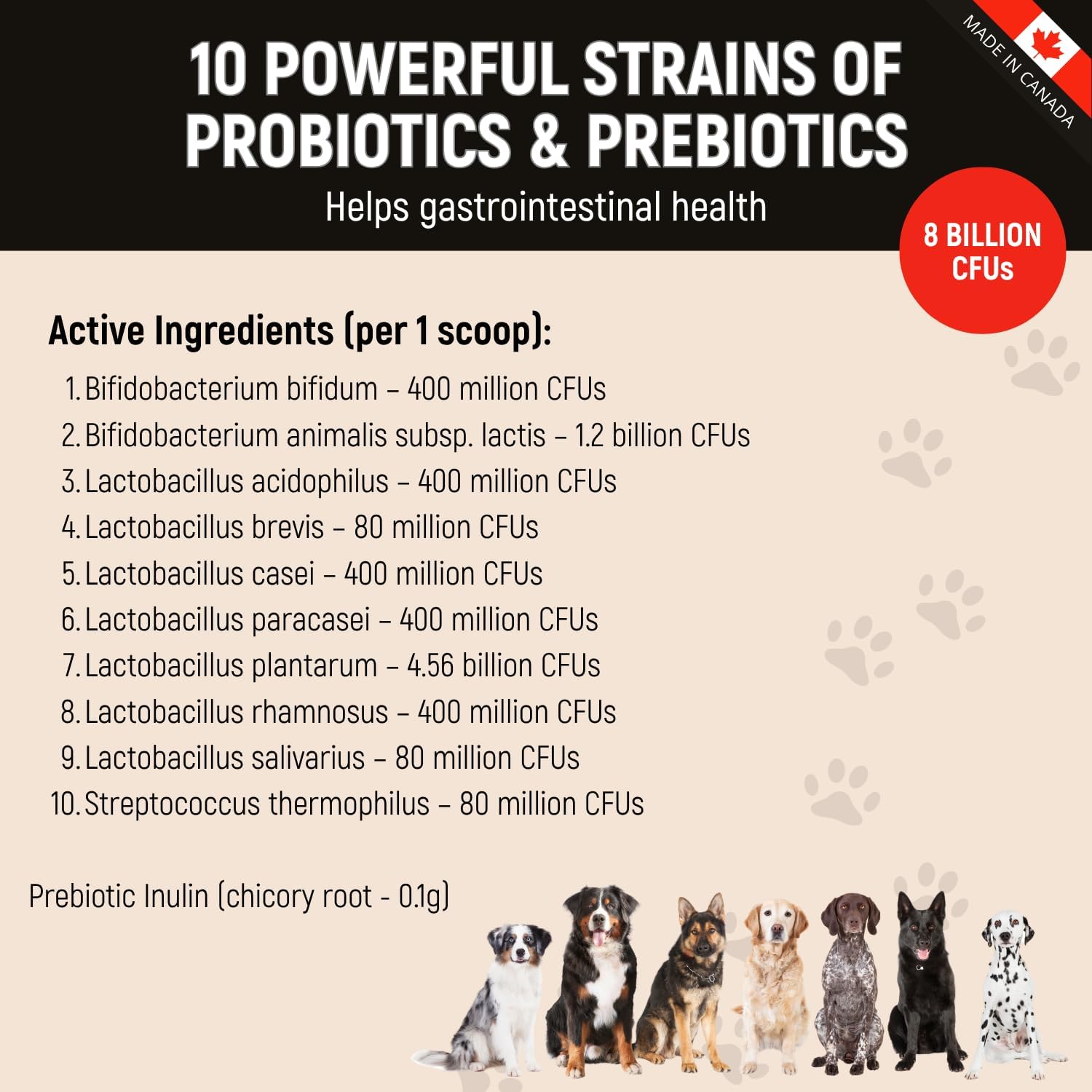 K9 Prebiotics and Probiotics